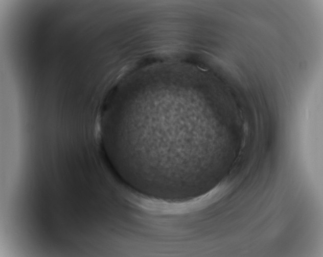 X0000092300048200709211239