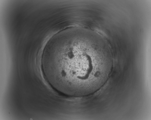 X0000092300049200709211238