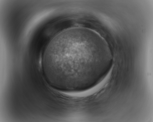 X0000092300052200709211238