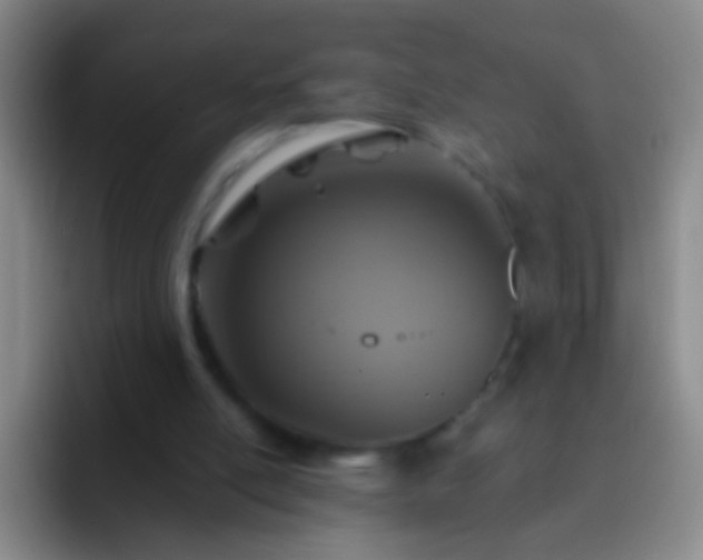 X0000092300054200709211238