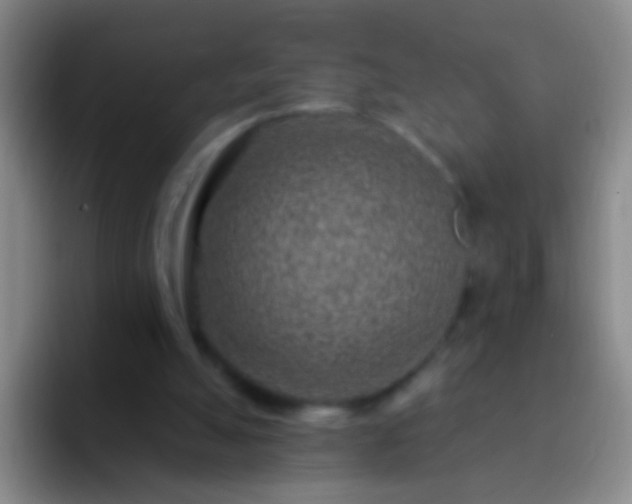 X0000092300055200709211238