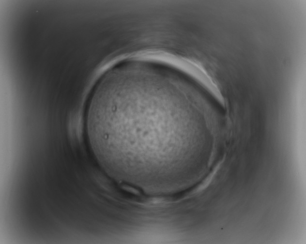 X0000092300056200709211238