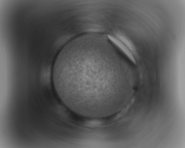 X0000092300058200709211238