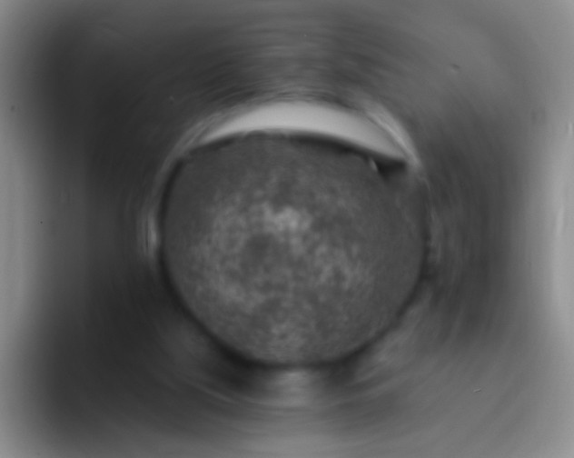 X0000092300059200709211238