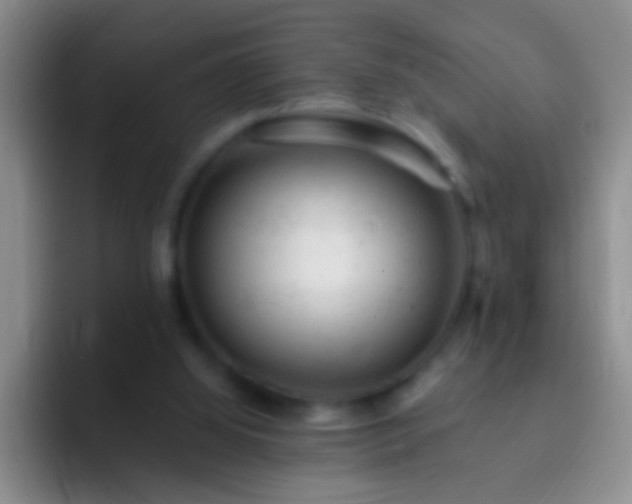 X0000092300060200709211238