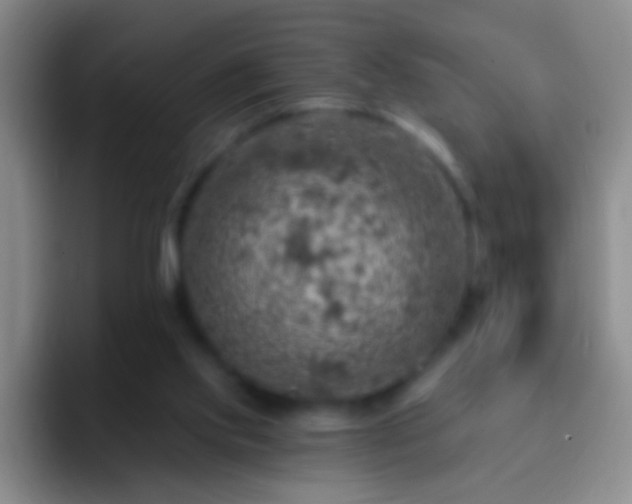 X0000092300061200709211239