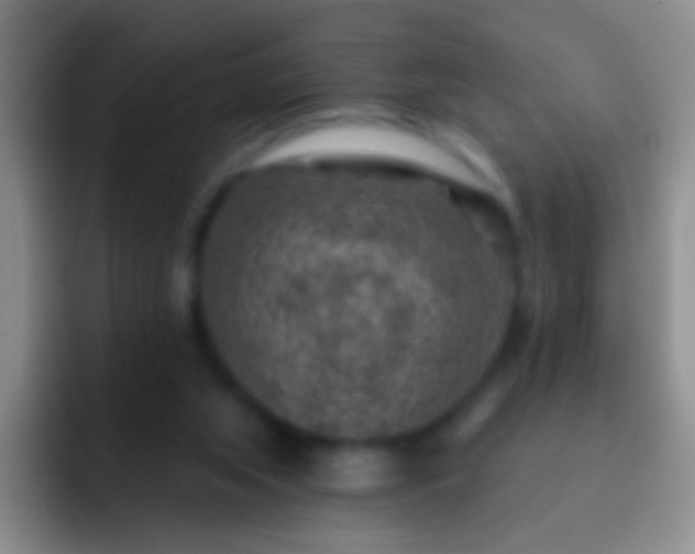 X0000092300063200709211239