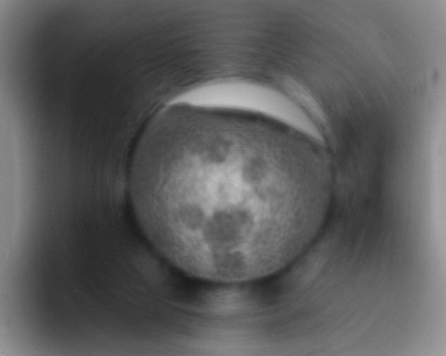X0000092300065200709211239