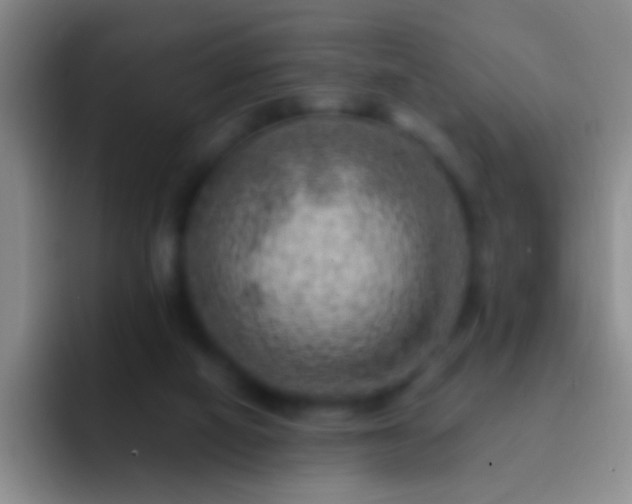 X0000092300066200709211239
