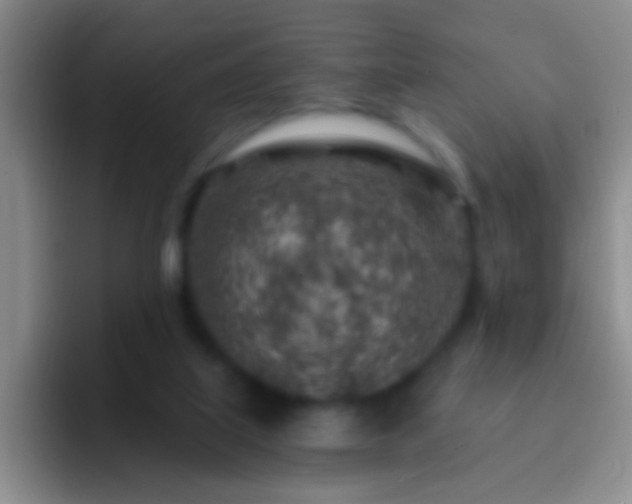 X0000092300067200709211239