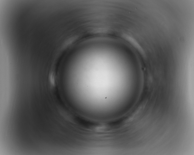 X0000092300068200709211239