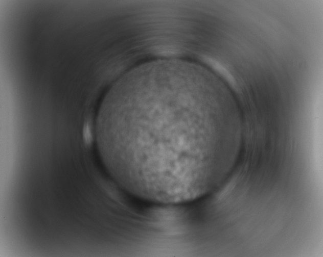 X0000092300069200709211239