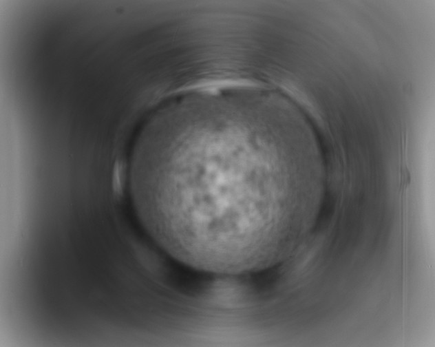 X0000092300070200709211239