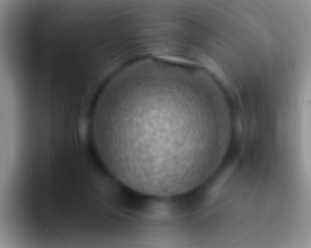X0000092300071200709211239