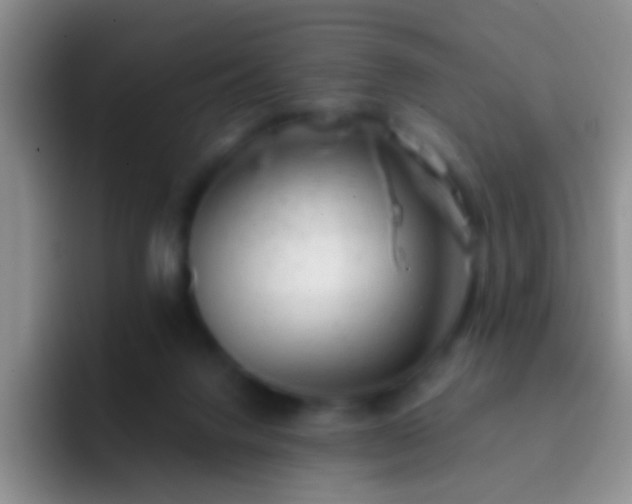 X0000092300072200709211239