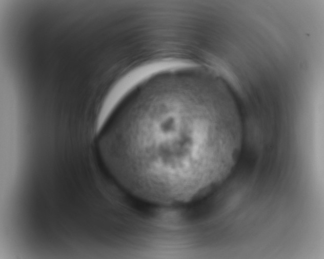 X0000092300073200709211239