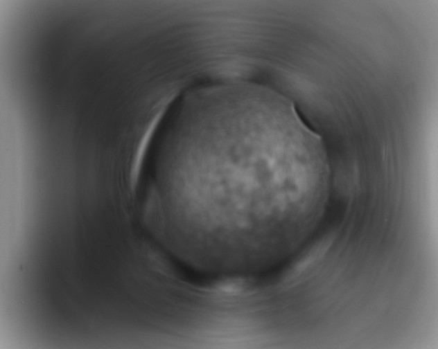 X0000092300076200709211239