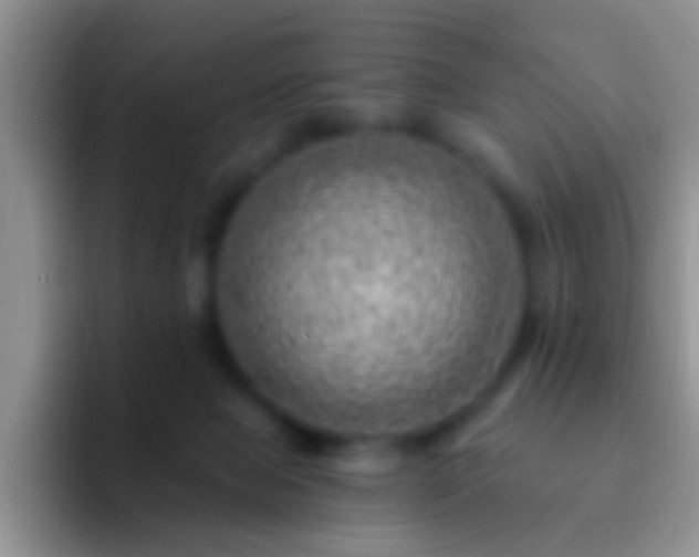 X0000092300077200709211239