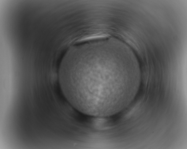 X0000092300085200709211239