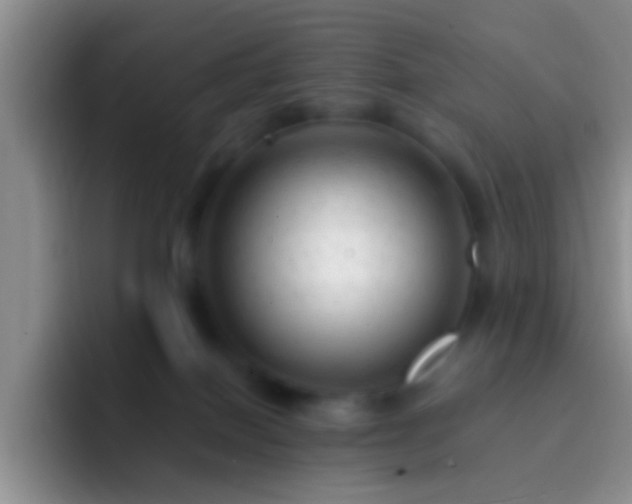 X0000092300086200709211239