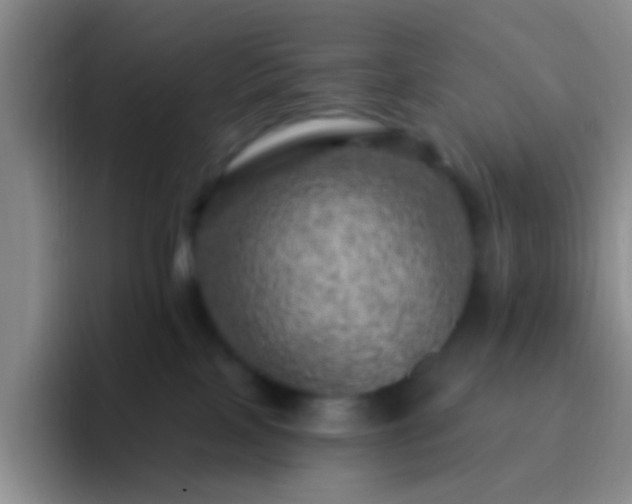 X0000092300089200709211239