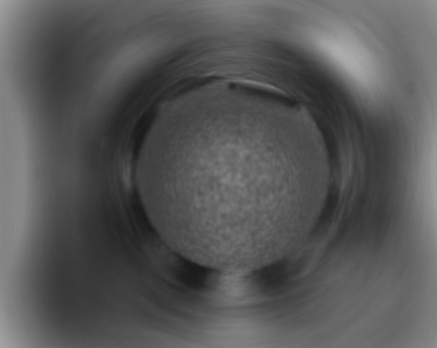 X0000092300093200709211239