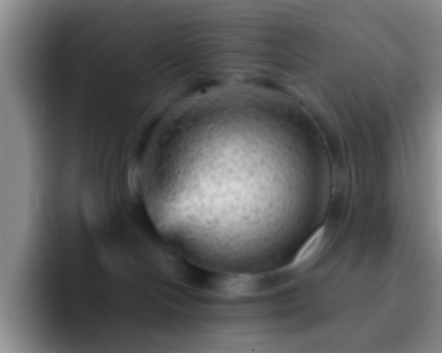 X0000092300094200709211239