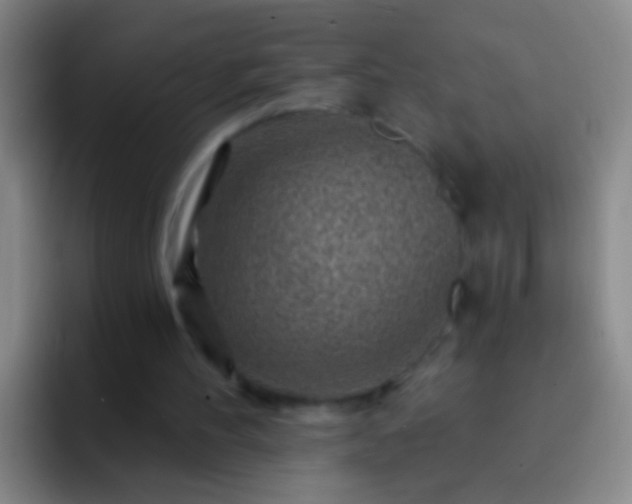 X0000092300100200709211238