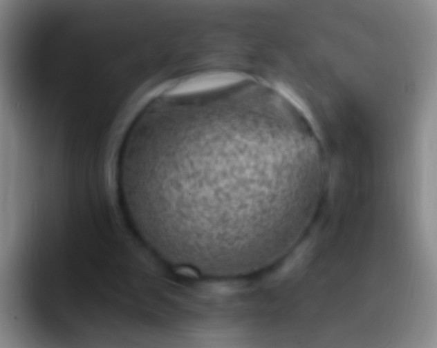 X0000092300103200709211238