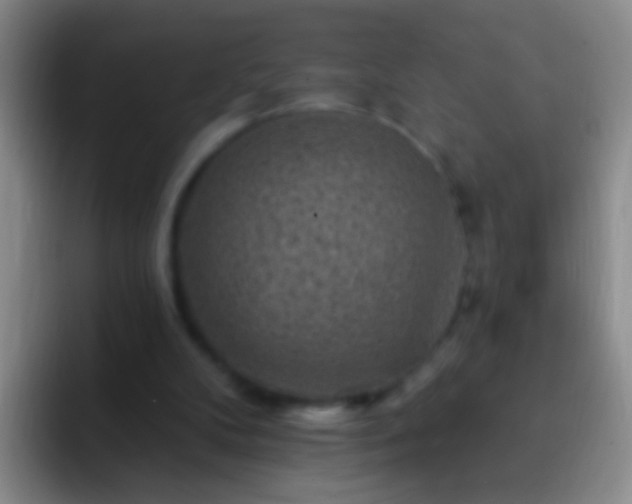 X0000092300104200709211238