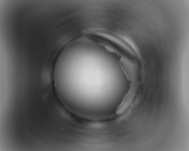 X0000092300105200709211238