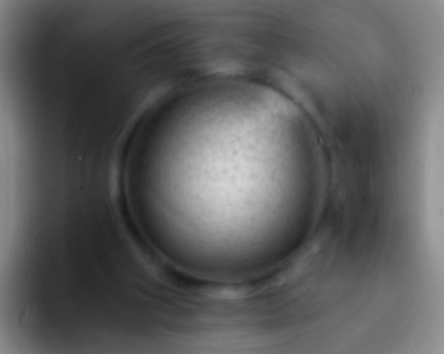 X0000092300106200709211238