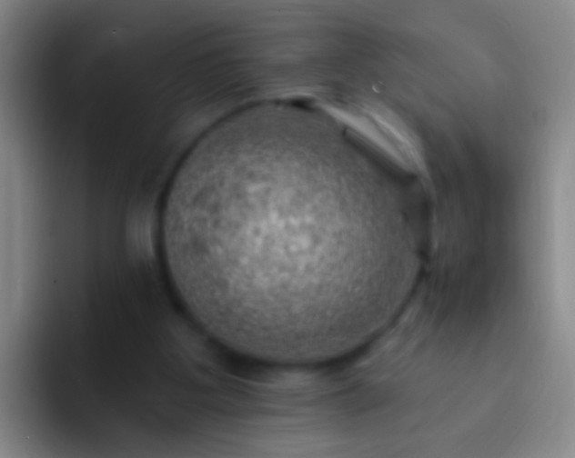 X0000092300107200709211238
