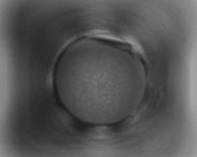X0000092300108200709211238