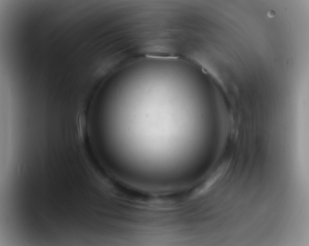 X0000092300109200709211238