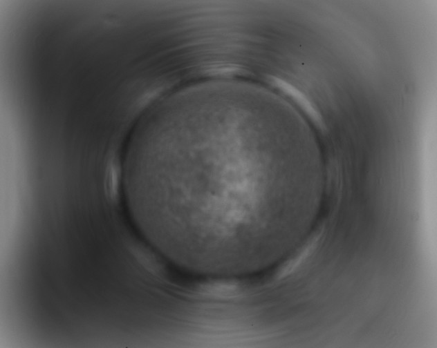 X0000092300110200709211238