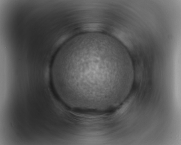X0000092300111200709211238