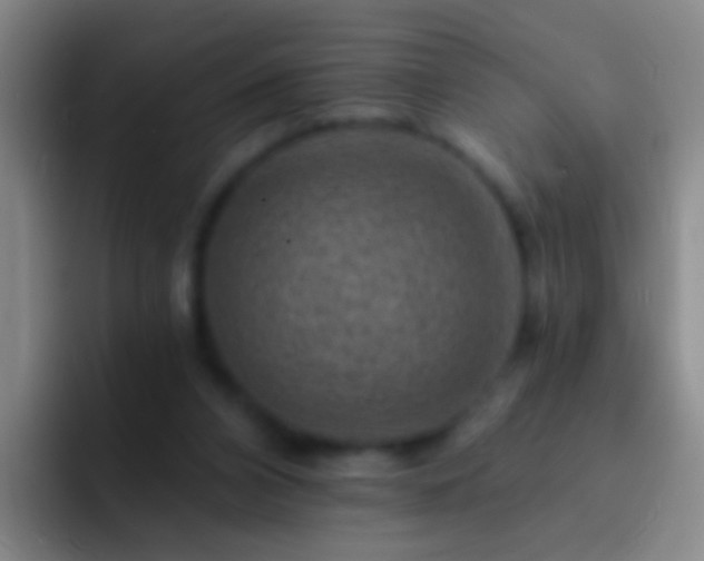 X0000092300112200709211238
