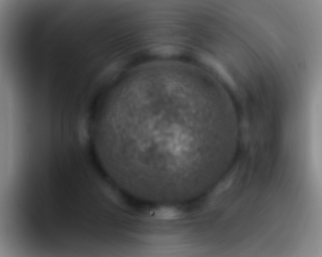 X0000092300114200709211238