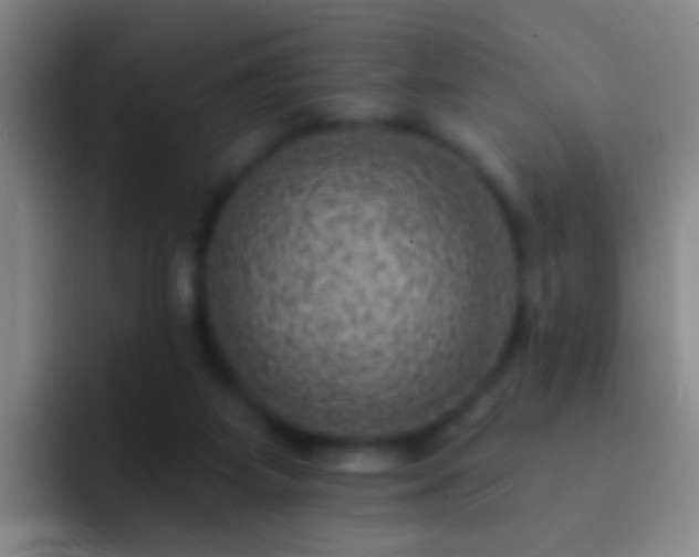 X0000092300115200709211238