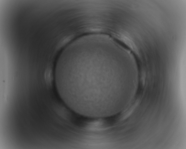 X0000092300116200709211238