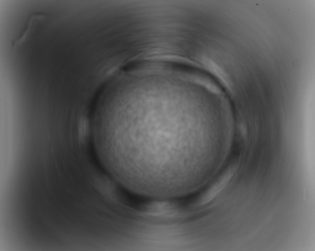 X0000092300117200709211238