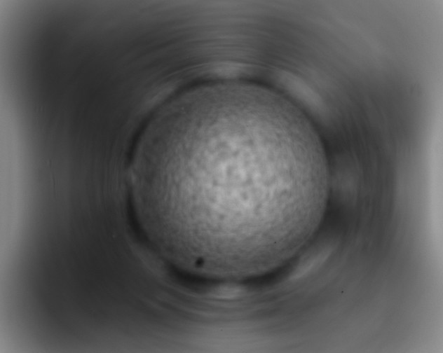X0000092300119200709211238