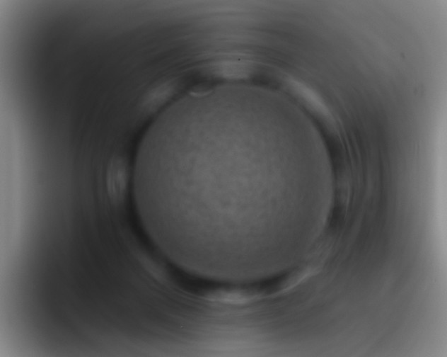 X0000092300120200709211238