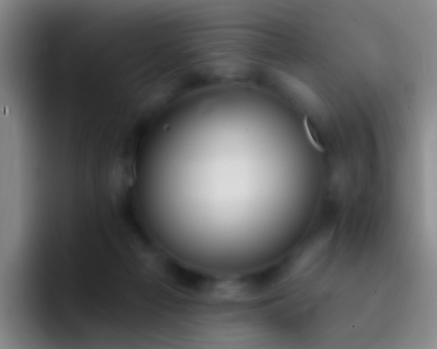 X0000092300121200709211238