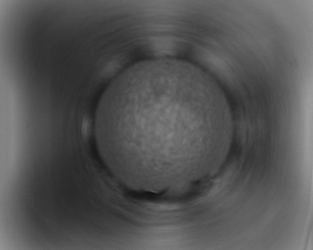 X0000092300123200709211238