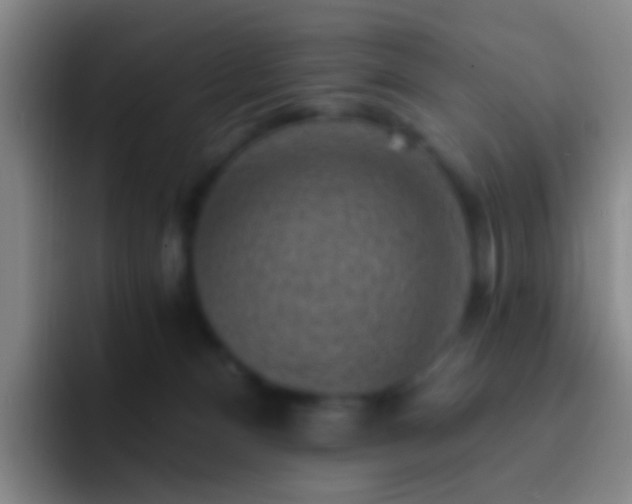 X0000092300128200709211238