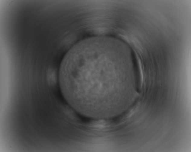 X0000092300131200709211238