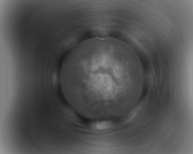 X0000092300134200709211238