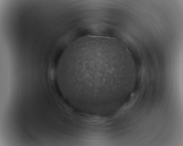 X0000092300137200709211238